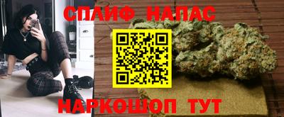 индика Балашиха
