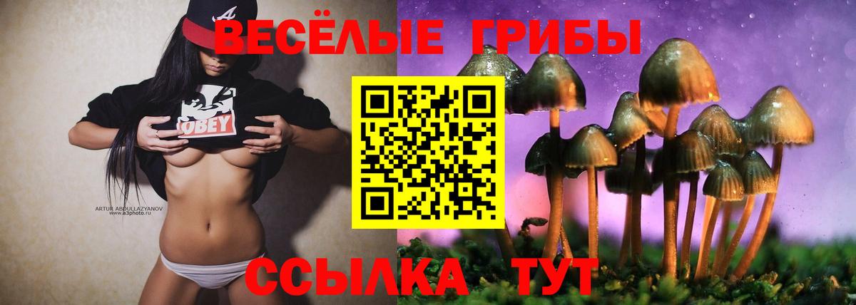 Димитровград  Галлюциногенные грибы Psilocybine cubensis  Вход с VPN 